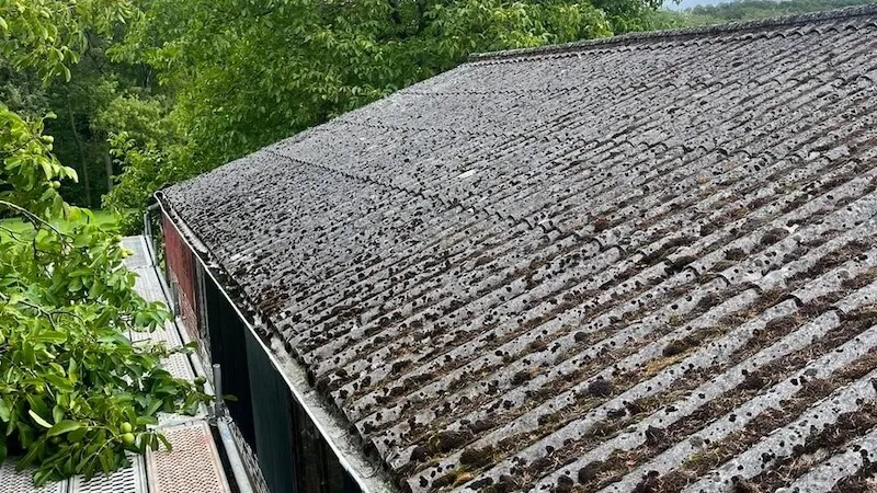 Oud golfplaten dak dat asbest kan bevatten